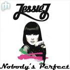 Nobodys Perfect