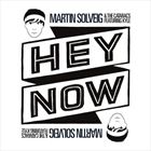Hey Now (+ Martin Solveig)