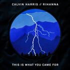 This Is What You Came For (+ Calvin Harris)
