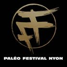 Live au Paleo Festival