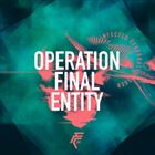 Operation Final Entity