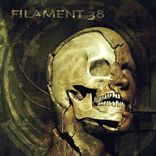 Filament 38 - Isolate Decay Disintegrate (2013)