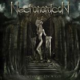 Necronomicon - Return of the Witch (2010)